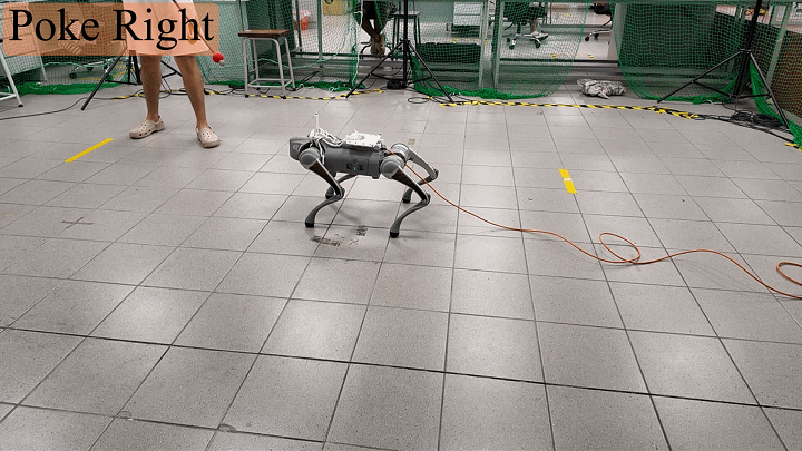 Teaser for SECOND PROJECT